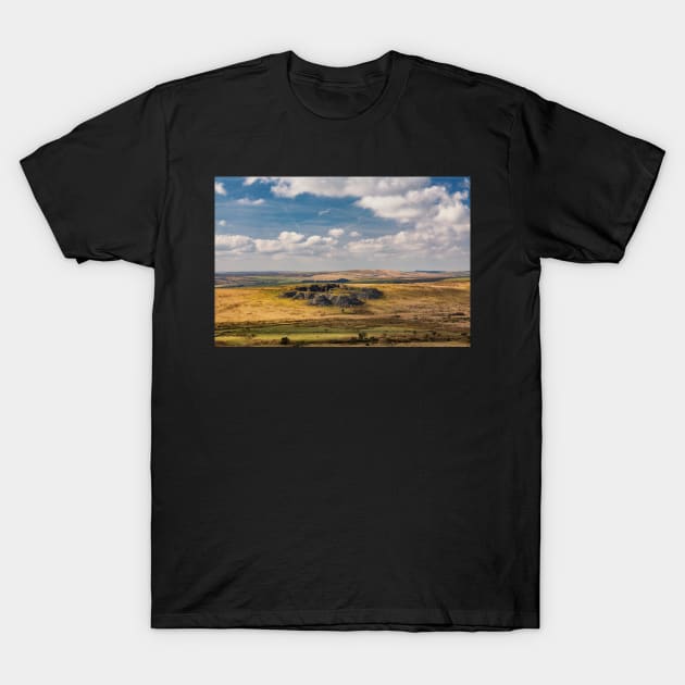 Gold Diggings Quarry, Minions, Bodmin Moor, Cornwall T-Shirt by dasantillo